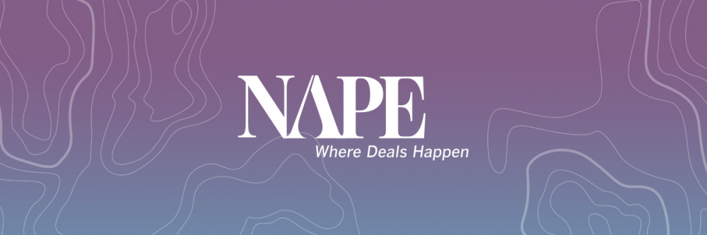 nape logo